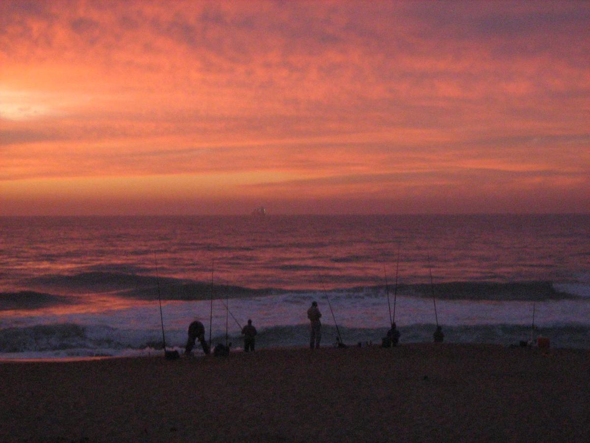 Glenashley Beach Accommodation - B&B And Backpackers Durban Exteriör bild